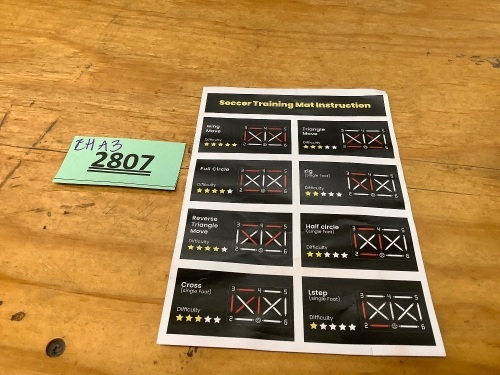 Soccer Training Mat - Lot 2807
