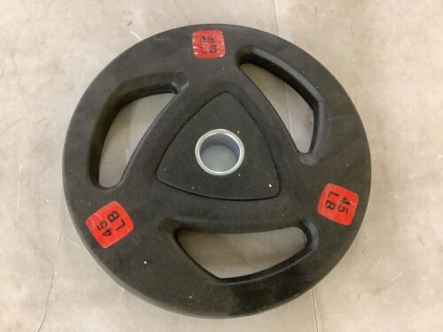 45 Lb Weight Plate - Lot 258