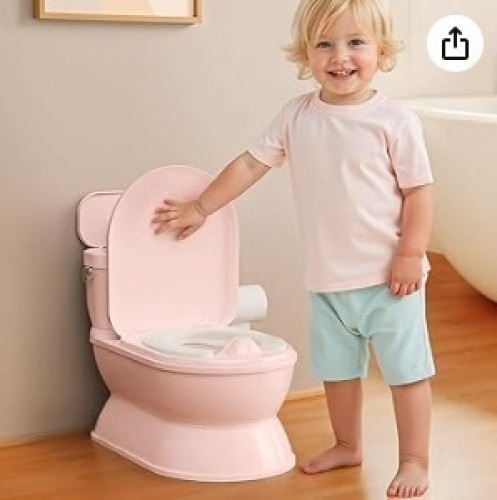 2-in-1 Toddler Potty Training Toilet, Pink - Lot 475