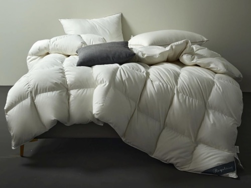 Royoliving Duvet Insert Comforter, White - Lot 456