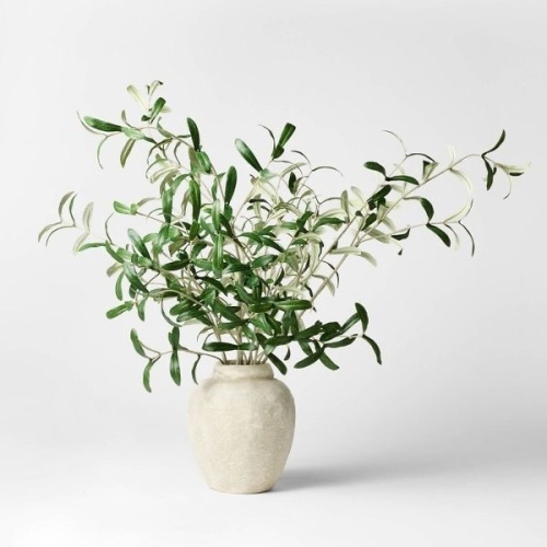 Olive Leaf Potted Arrangement- Threshold Studio McGee - Lot 573
