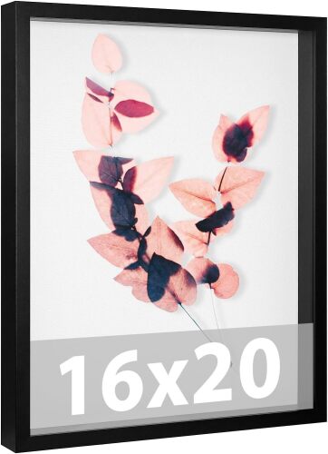 Shadow Box Frame - Lot 2684