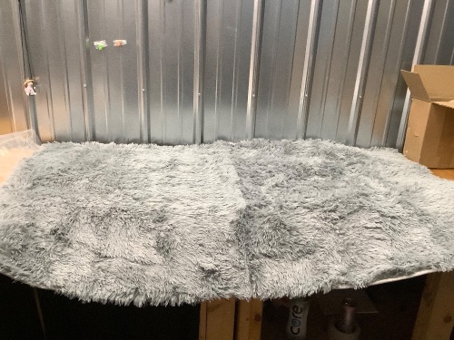 Fluffy Area Rug - Lot 2836