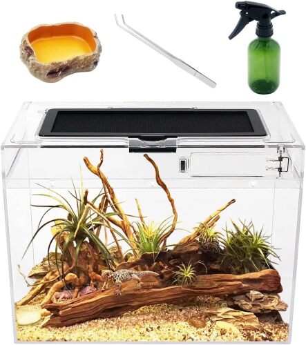 Mini Terrarium Complete Set - Lot 3098