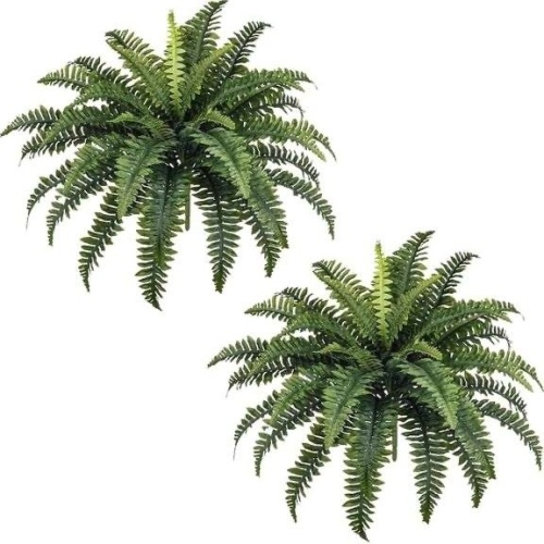 Forest Prince Artificial Plant - Lot 3377