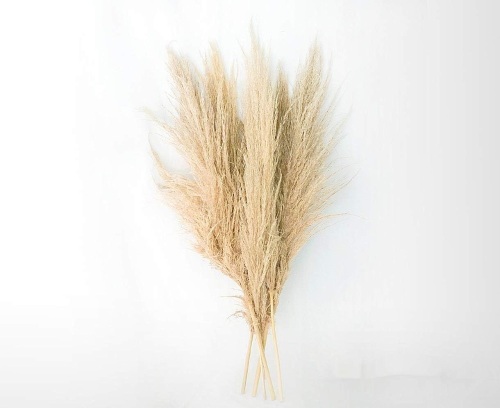 Faux pampas grass - Lot 3567
