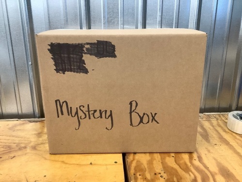 Amazon Mystery Box - Lot 3883