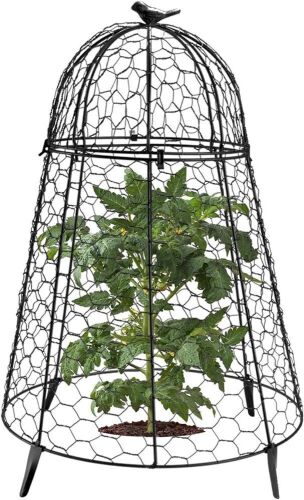Plant Protector Chicken Wire Cloche, Plant Protectors, 6-Pack - Lot 3718