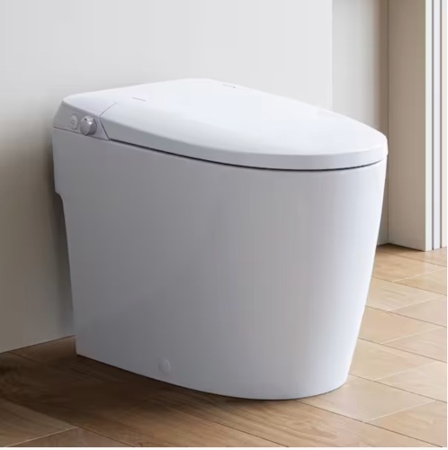 Horow Non-Electric Elongated Bidet Toilet 1.0 GPF in White with ADA Chair Height, Foot Kick to Flush, Map Flush 1000g - Lot 23JF