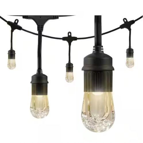 Enbrighten 24 Bulb 48 ft. Outdoor/Indoor Black Vintage LED String Lights, Acrylic Edison Bulbs - Lot 177JF