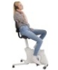 FLEXISPOT Under Desk Bike Pedal Exerciser - Thumbnail 1