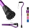 Walking Cane and Walking Stick - Thumbnail 1