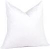 puredown® 28 x 28 Feather Down Throw Pillow Insert - Thumbnail 1
