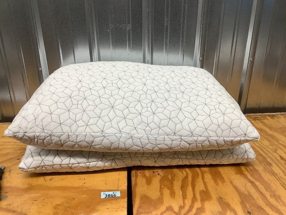 Set of 2 Pillows - Image 1 - Lot 3866