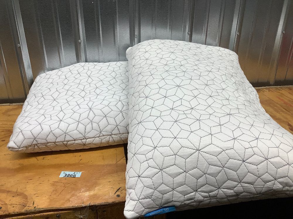 Set of 2 Pillows - Image 2 - Lot 3866