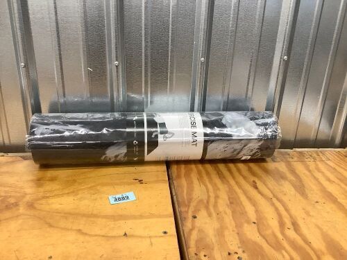 Exercise Mat - Lot 3889