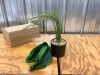 Artificial Potted Plant - Thumbnail 1