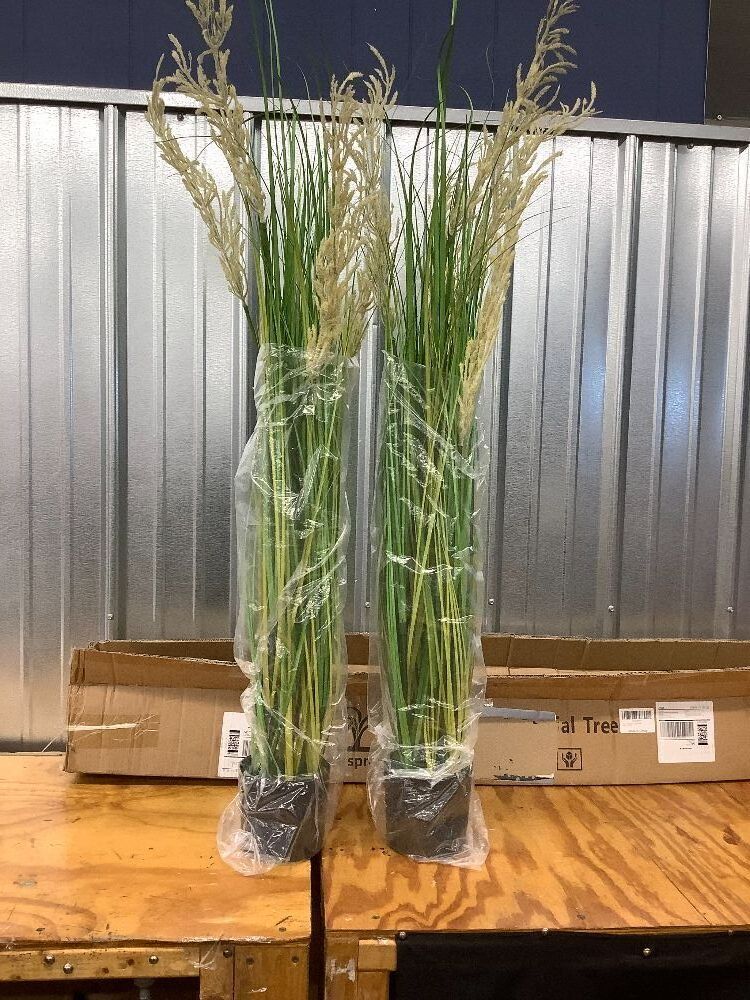 Artificial Grass Plant 47in (2-pack) - Image 1 - Lot 3898