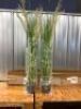 Artificial Grass Plant 47in (2-pack) - Thumbnail 1