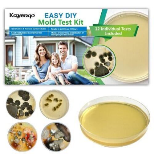 Mold Test Kit for Home - 12 Simple Detection Tests - Lot 4057