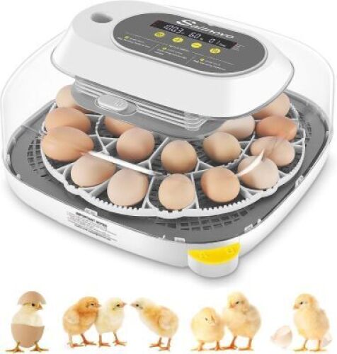 Sailnovo 24 Eggs Incubators for Chicken Eggs with 4 Modes, 360° View Incubator with Automatic Egg Turning and Temperature Control Humidity Display, Digital Incubator for Chicken Quail Duck(Grey) - Lot 4154