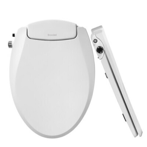 EcoSeat Non-Electric Bidet Toilet Seat - Lot 4293