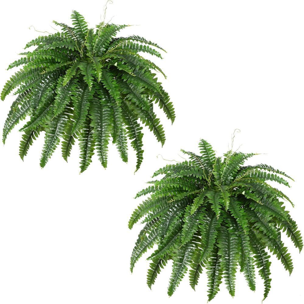 Artificial Boston Fern Bush- Set of 2 - Image 1 - Lot 4398