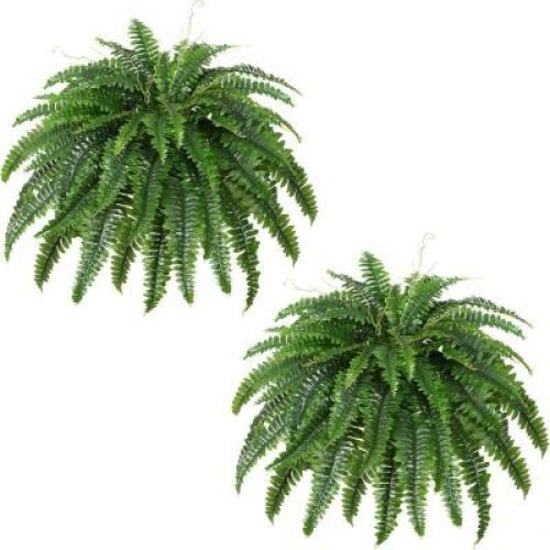 Artificial Boston Fern Bush- Set of 2 - Lot 4398