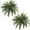 FOREST PRINCE 35" Ferns Artificial Bush Plants Large, 2 Artificial Boston Ferns with 39 Fronds for Outdoors Home Decor - Thumbnail 1
