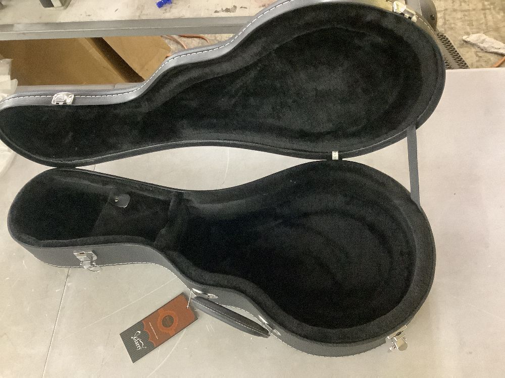 Glarry F-Style Mandolin Microgroove Pattern PVC Hardshell Case Black - Image 6 - Lot 246