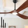 52" Ceiling Fans with Lights and Remote Control, Outdoor - Thumbnail 1