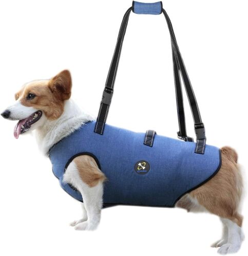 Extra Small Coodeo Dog Lift Harness, Pet Support & Rehabilitation Sling Lift Adjustable Padded Breathable Straps for Old, Disabled, Joint Injuries, Arthritis, Loss... - Lot 69