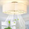 Caged Ceiling Fan with Lights, - Thumbnail 1