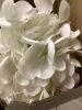 Yatim 21In White Artificial Hydrangea Flowers 5 Pcs Real Touch 3D Print Latex Flowers for Wedding Centerpieces Bouquets DIY Floral Decor Home Decoration with Stems - Thumbnail 4
