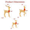 3-Piece Lighted Christmas Deer Set Outdoor Decor with LED Lights - Thumbnail 2