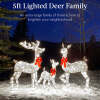 3-Piece Lighted Christmas Deer Set Outdoor Decor with LED Lights - Thumbnail 1