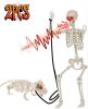 ALLIVING 5.4Ft Halloween Skeleton with Skeleton Dog - Life Size Skeleton with Glowing Eyes Scary Creepy Sound Movable Joints Full Size Posable Skeleton Decor Halloween Decorations Outdoor Indoor - Thumbnail 1