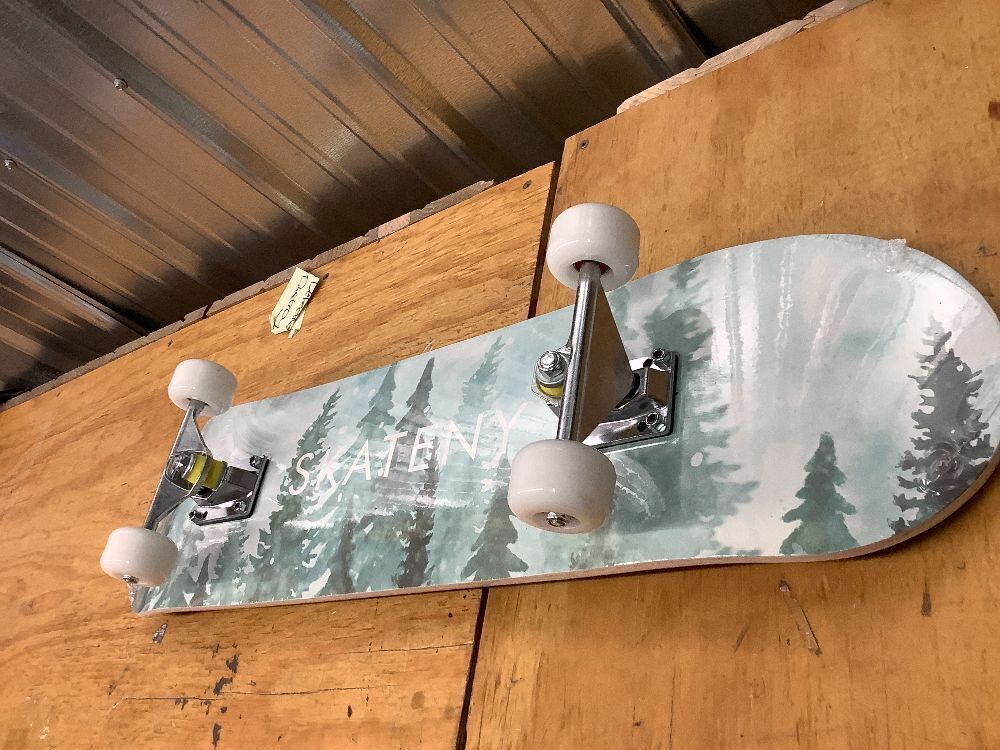 Skateboard Turquoise Forest Skateboard - Image 4 - Lot 7854