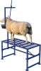 600 LBs Goat Stand with Feed Bin, Goat Milking Stand for Sheep Trimming and Milking, Hoof Trimming Stand Adjustable Size, with Feeder, Iron Blue - Thumbnail 1