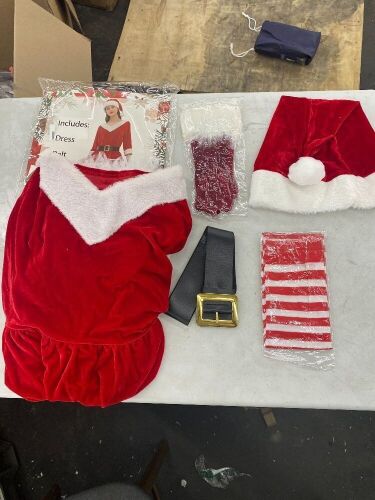 Mrs. Claus Costume - Lot 451