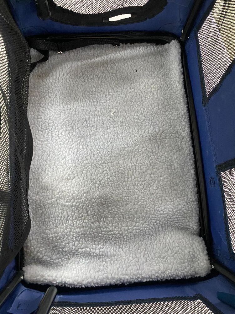 Collapsible Travel Pet Crate - Image 3 - Lot 454