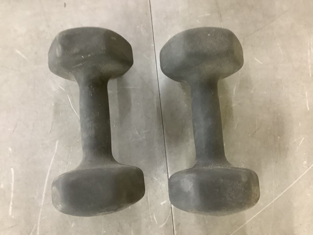 Set of 15lb Dumbbells - Image 3 - Lot 756JF