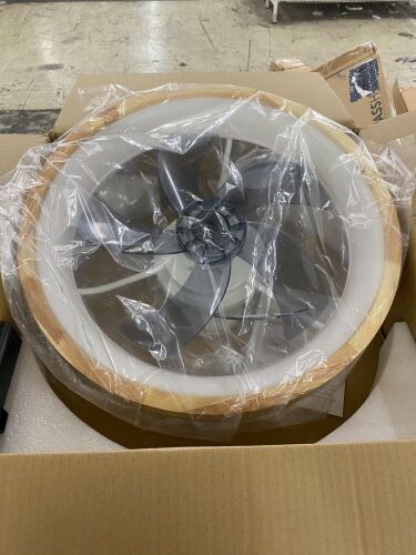 Low Profile Ceiling Fan Light - Lot 495