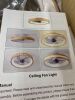 Low Profile Ceiling Fan Light - Thumbnail 2