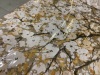 Tree Wall Canvas - Thumbnail 2