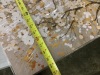 Tree Wall Canvas - Thumbnail 5
