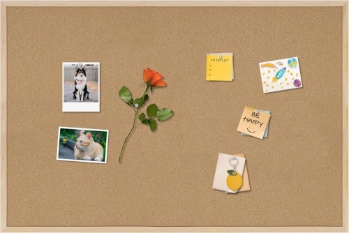 Cork Board Bulletin Board, 36x24 - Lot 328