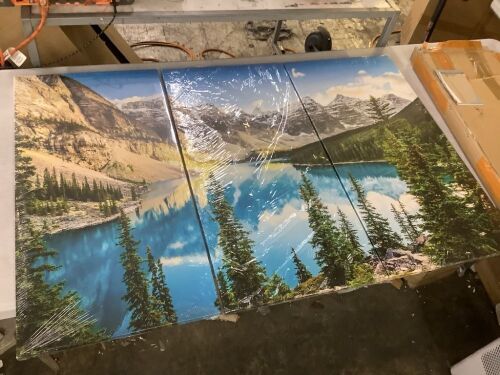 3 Piece Mountain Landscape Wall Art - Lot 261