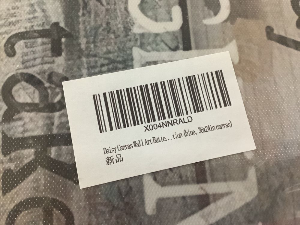 Daisy Canvas Wall Art 35" x 23.5" - Image 6 - Lot 526