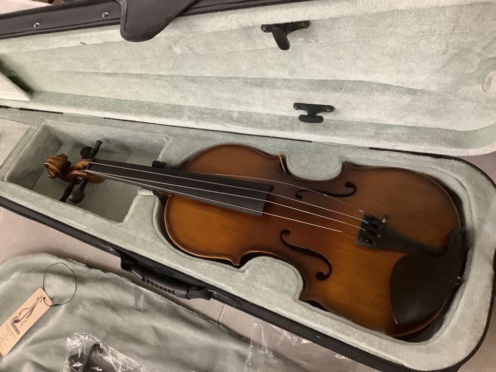 Fesley 4/4 Acoustic Violin with Case - Image 2 - Lot 532